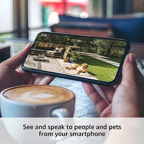 Person holding smartphone with pet monitoring app, coffee in foreground.