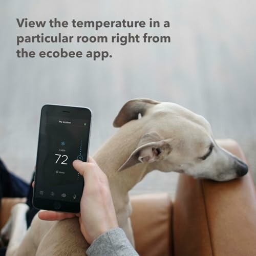 Person holding phone with ecobee app displaying room temperature next to a relaxed dog.