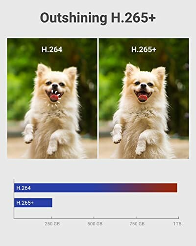 Comparison of a dog's image quality in H.264 vs H.265+ compression with storage usage graph.